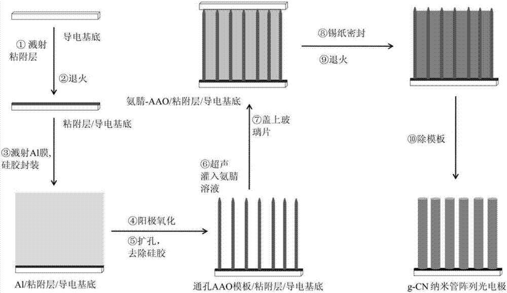 Graphite carbon nitride nanotube array photoelectrode, preparation method of array photoelectrode and application