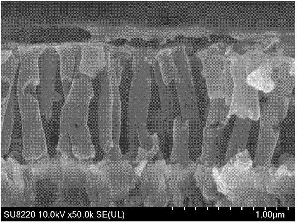 Graphite carbon nitride nanotube array photoelectrode, preparation method of array photoelectrode and application