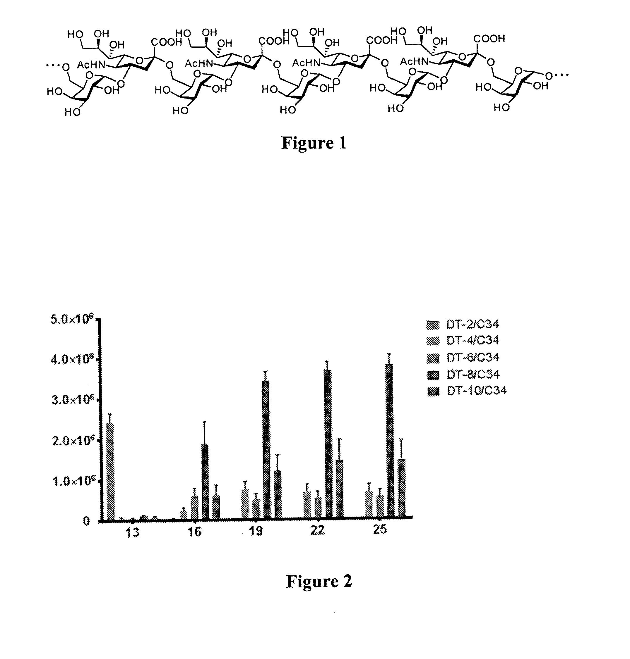 Glycan conjugates and use thereof