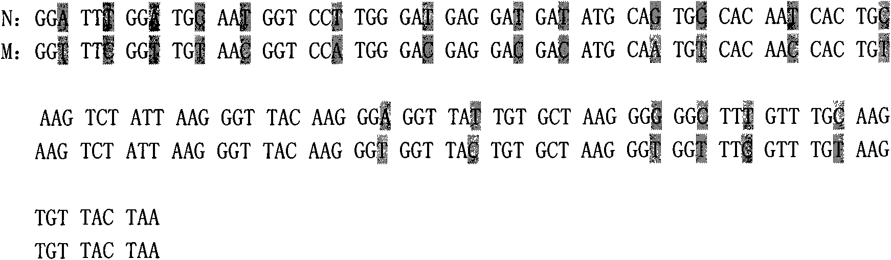 Method for expressing pseudoplectania nigrella mature peptide in recombinant pichia pastoris