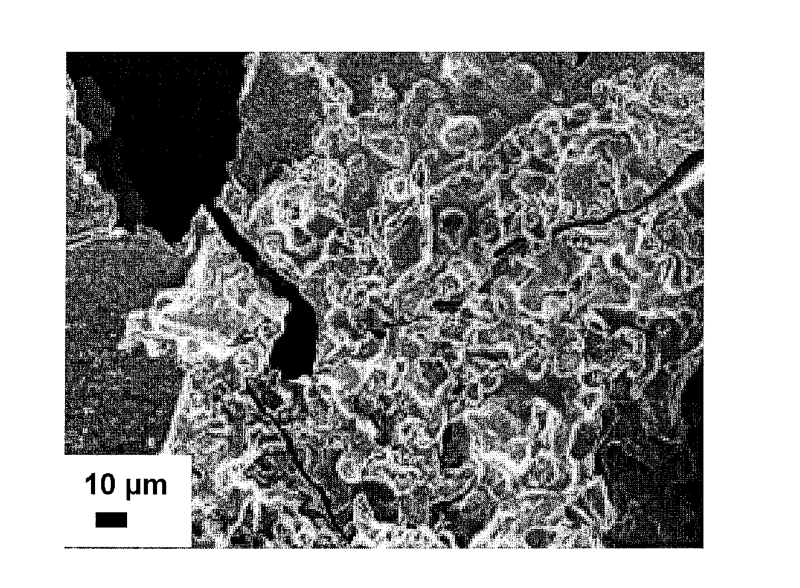 Polycrystalline foams exhibiting giant magnetic-field-induced deformation and methods of making and using same