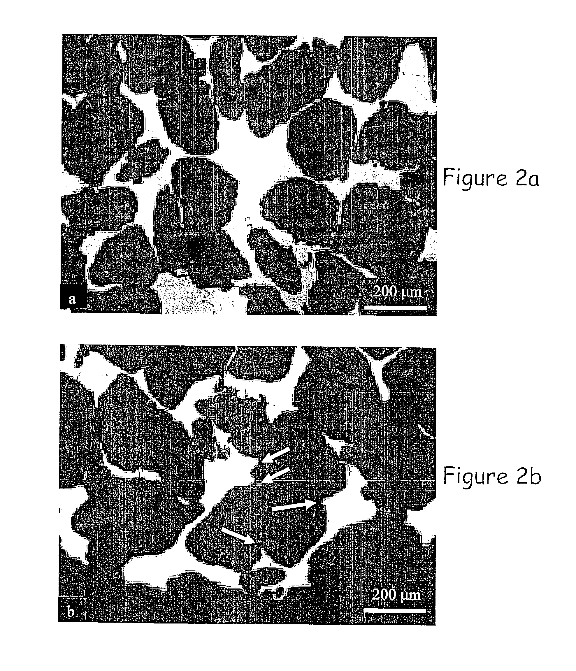 Polycrystalline foams exhibiting giant magnetic-field-induced deformation and methods of making and using same