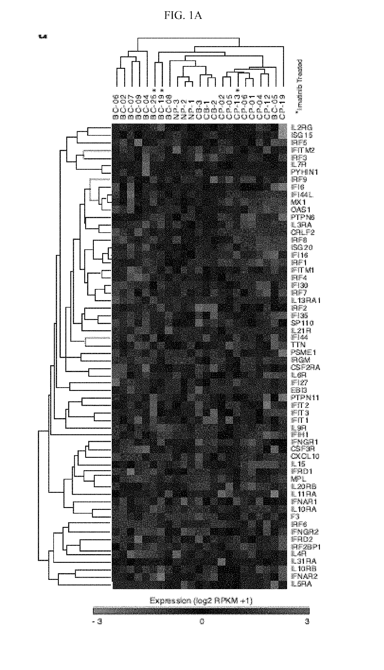 Compositions and methods for treating cancer and biomarkers to detect cancer stem cell reprogramming and progression