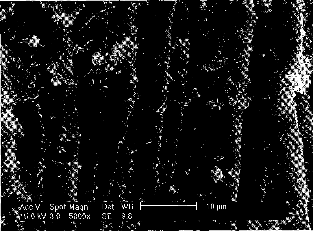 Process for producing sulfhydryl functionalized rare earth-macromolecule composite luminescent material