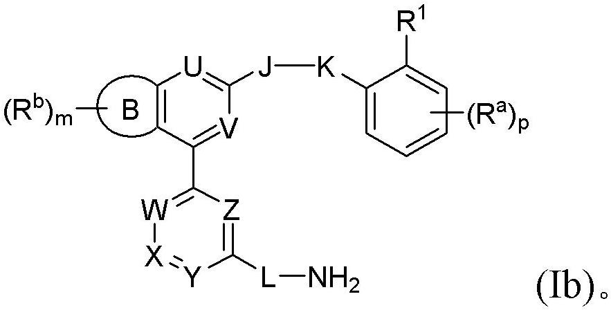 Substituted benzofuran, benzopyrrole, benzothiophene, and structurally related complement inhibitors