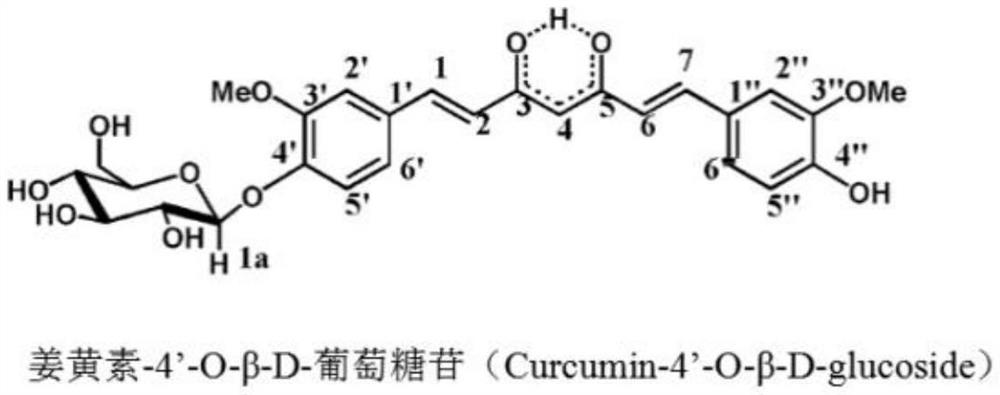 Fructose glycosylated curcumin as well as preparation method and application thereof