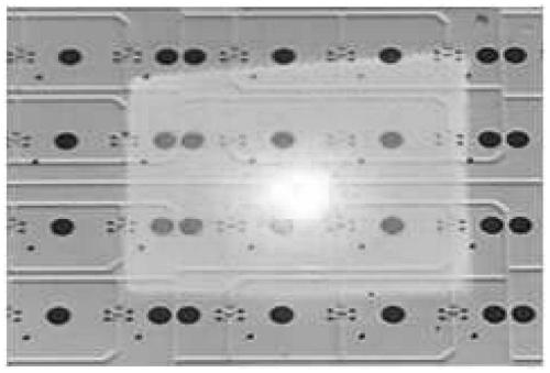 Laser head module of laser lift-off device