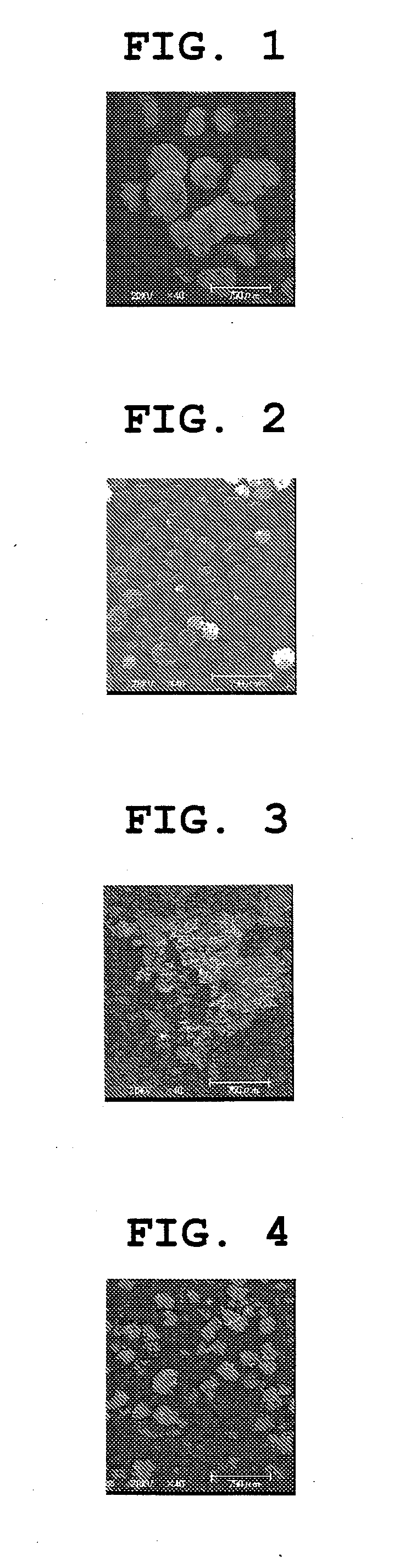 Method for producing coenzyme q10 particle