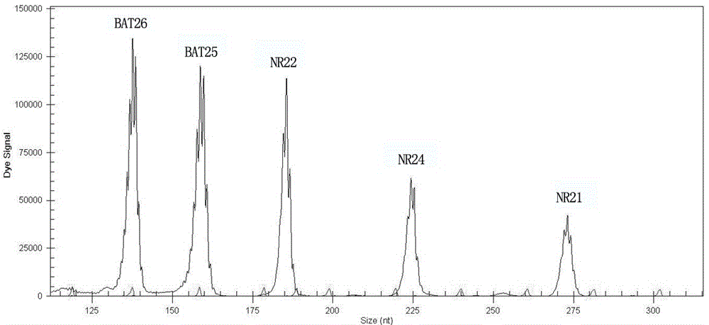 Microsatellite instability multiple detection system and kit