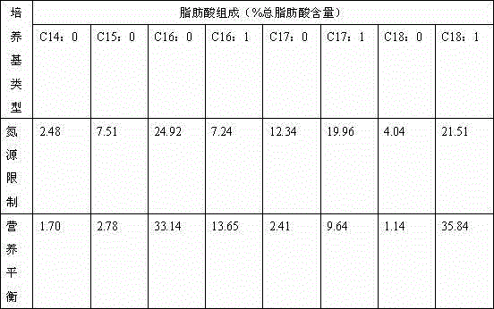 Method for producing biodiesel by efficiently utilizing corncob residues via Rhodococcus