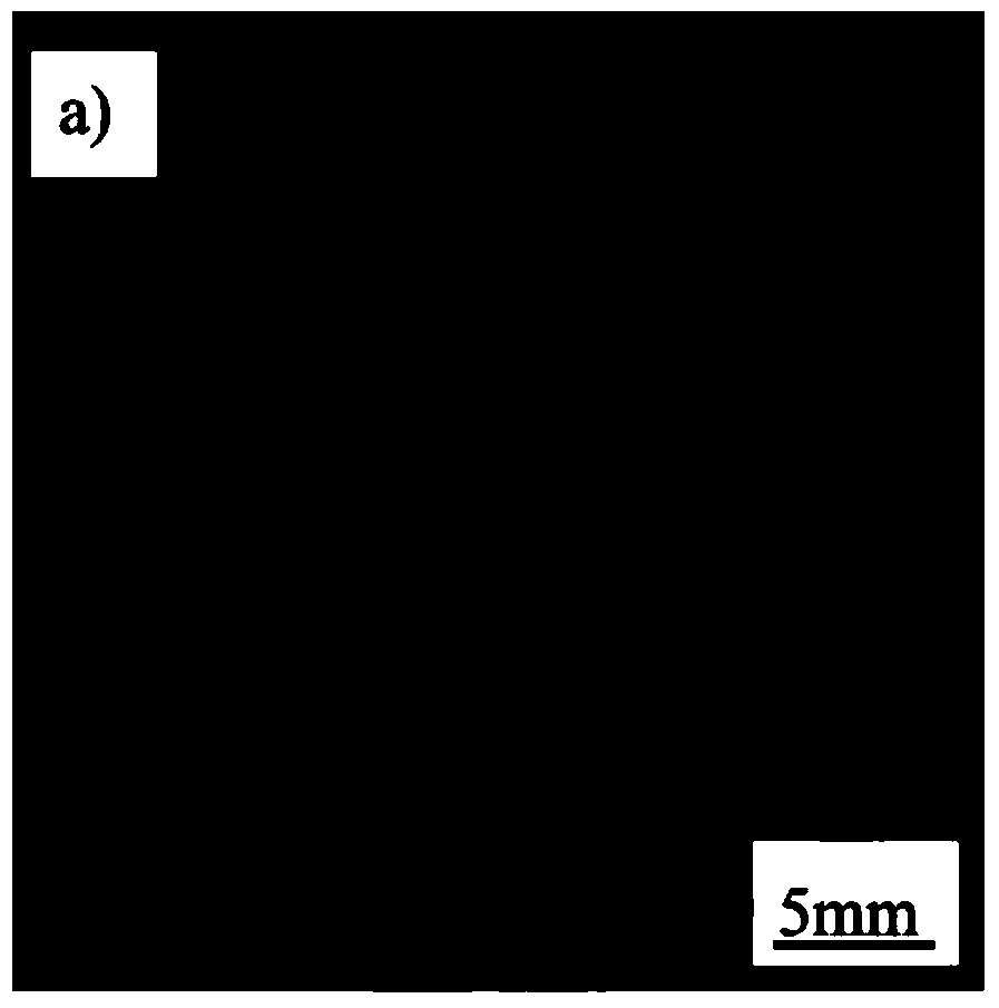 A method for preparing a degradable magnesium cage implant with an antibacterial and corrosion-resistant graphene/apatite composite coating