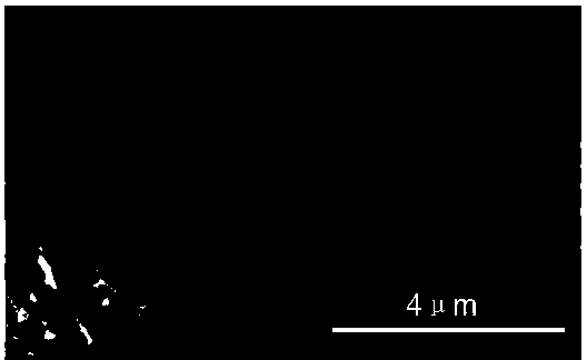 A step-by-step photocatalytic preparation method of tetrakis(p-sulfonic acid phenyl)porphyrin silver/silver/carbon nitride nanosheet composite material