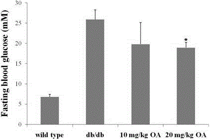 Application of oleanolic acid to medicine for treating obesity