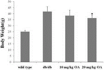 Application of oleanolic acid to medicine for treating obesity