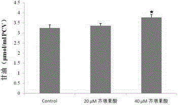 Application of oleanolic acid to medicine for treating obesity