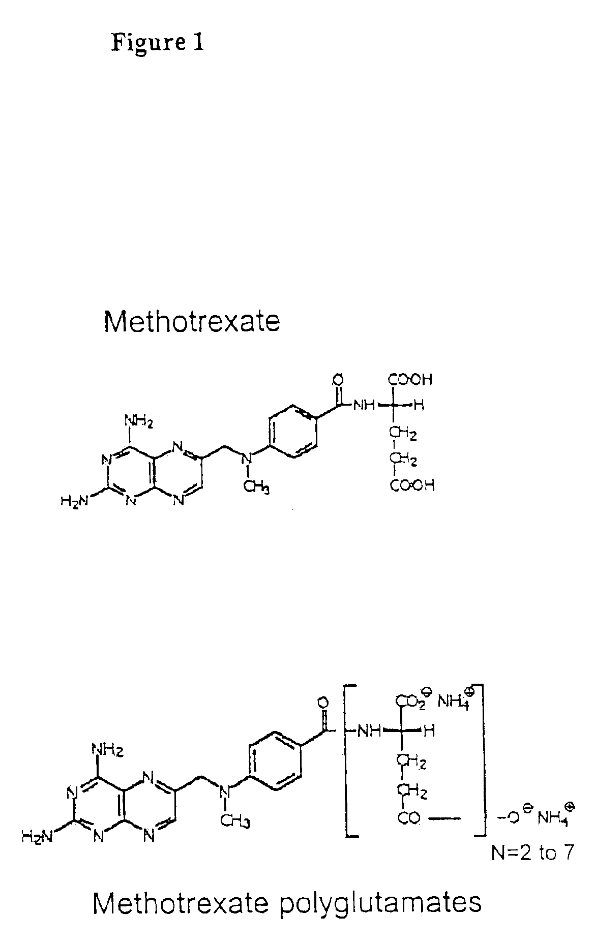 Methods for direct detection of individual methotrexate metabolites