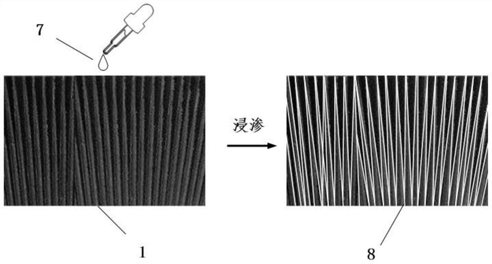 A kind of micro-nano dendritic solid oxide electrolytic cell anode and preparation method thereof