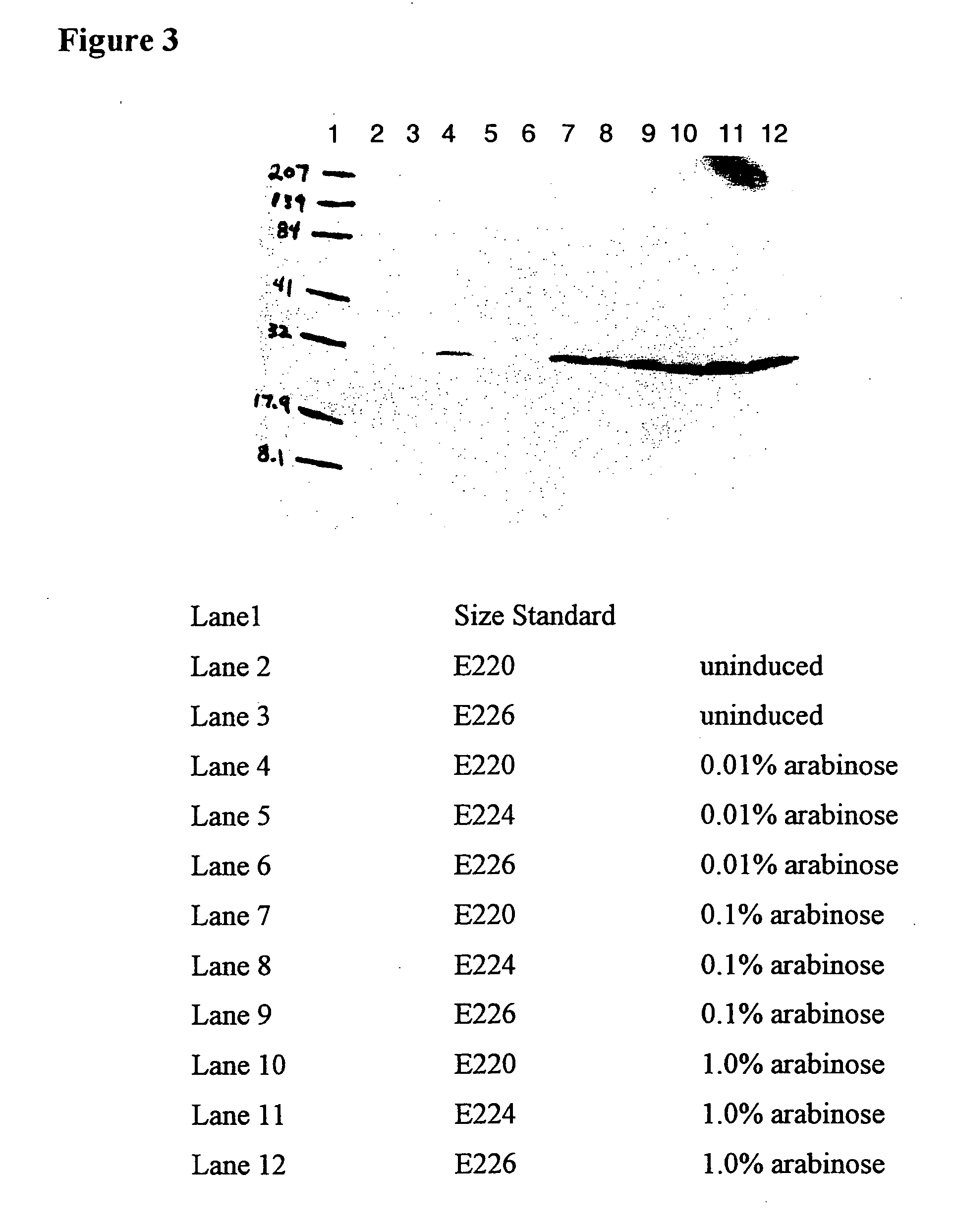 Methods and cells for expression of recombinant protein products under the transcriptional control of an inducible promoter