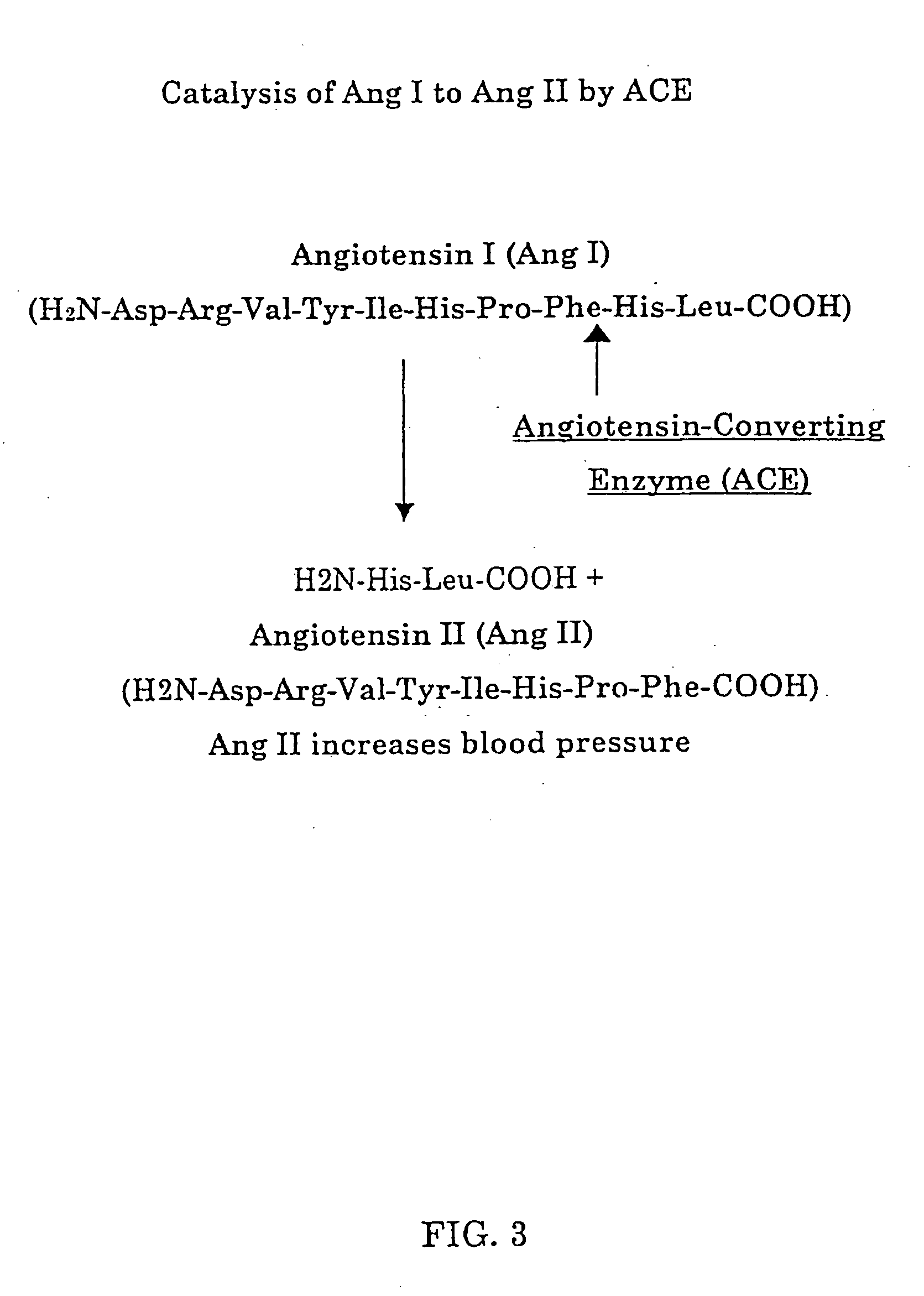 Biological markers and diagnostic tests for angiotensin converting enzyme inhibitor and vasopeptidase inhibitor-associated angioedema