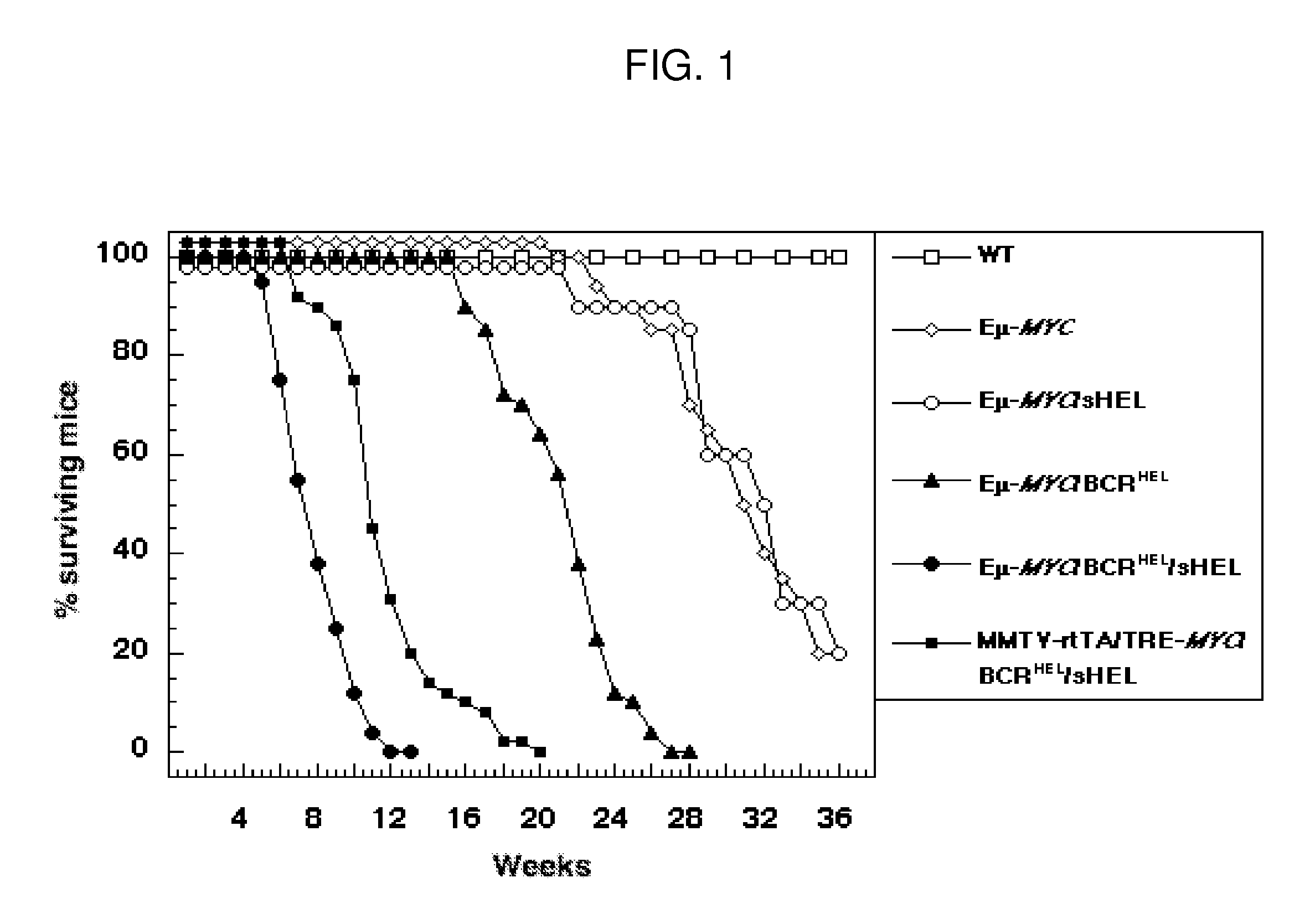 Non-Human Animal Models for B-cell Non-Hodgkin's Lymphoma and Uses Thereof