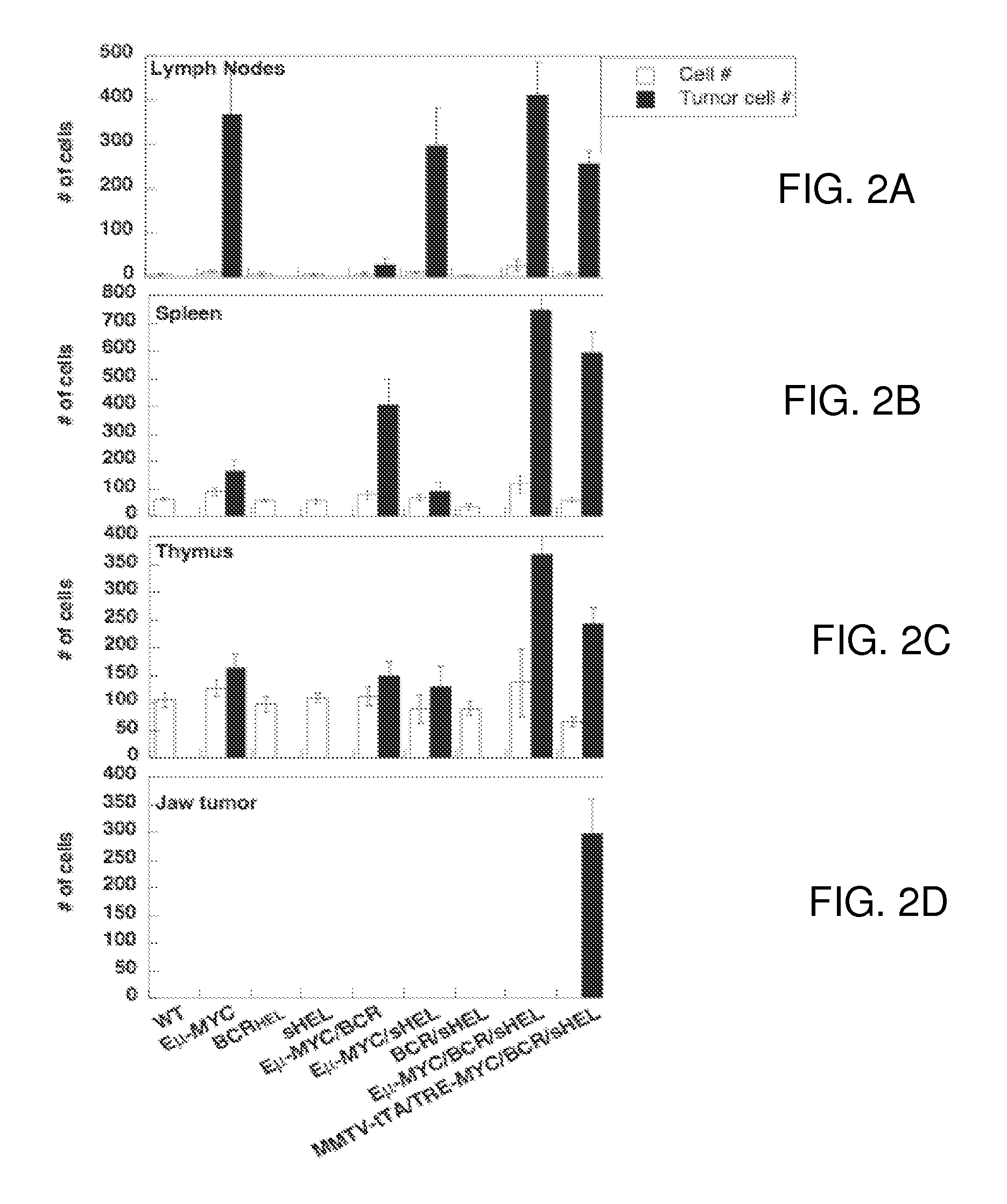 Non-Human Animal Models for B-cell Non-Hodgkin's Lymphoma and Uses Thereof