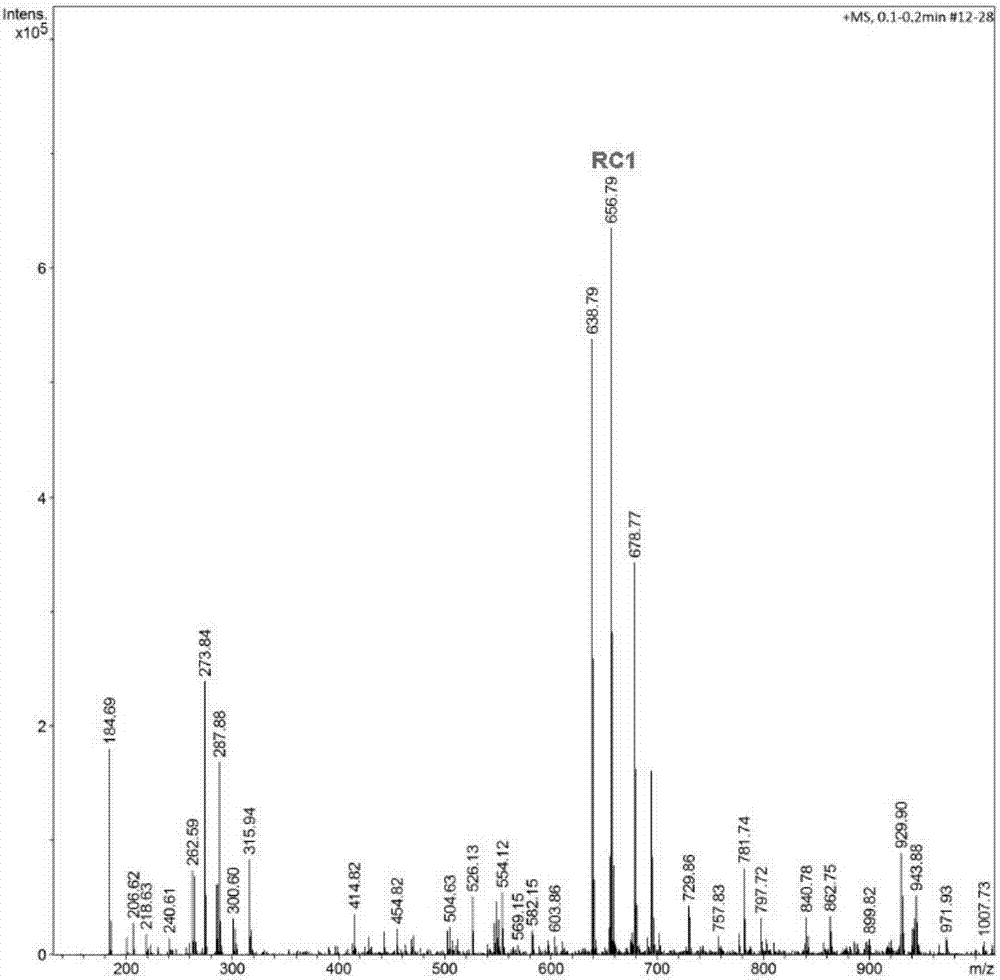 Fluorescent probes based on rhodamine-coumarin derivatives, and preparation method and application of fluorescent probes