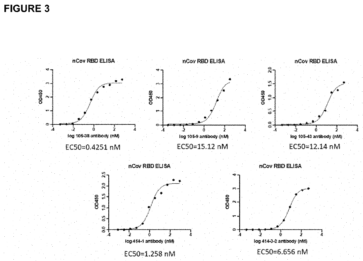 Antibodies to sars-coronavirus (covid-19) s1 spike protein