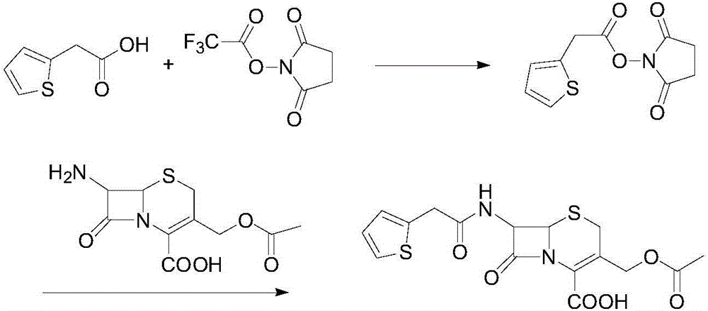A kind of preparation method of cephalothin acid