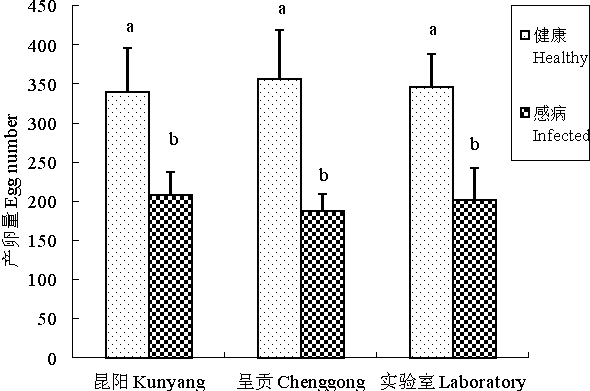 Injurious insect repellent containing hexadecanol and preparation and using method of injurious insect repellent