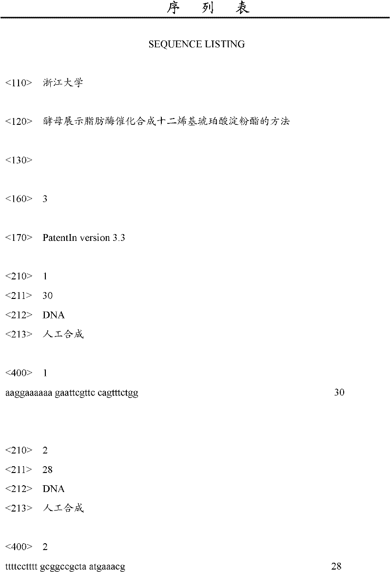 Method for catalytically synthesizing starch sodium alkenylsuccinate (SSAS) with yeast display lipase