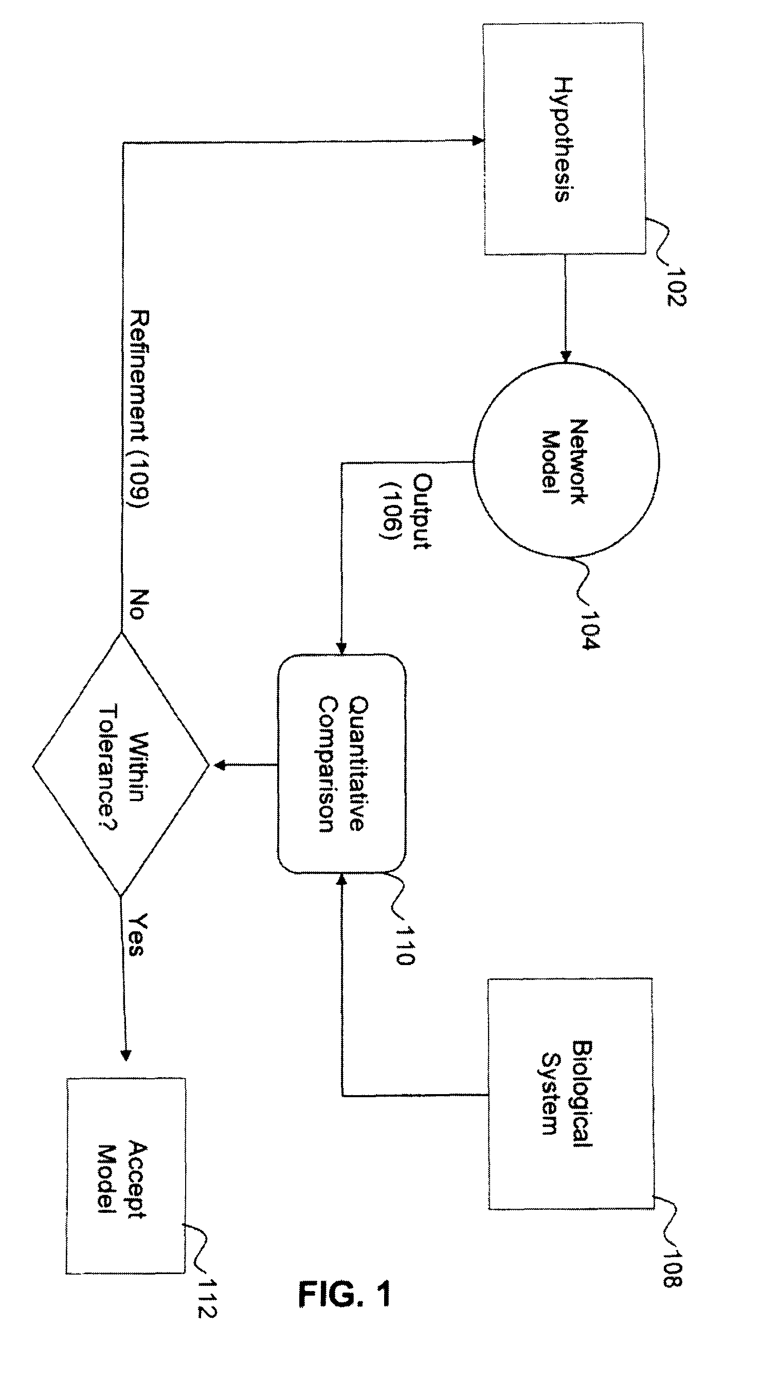 Methods and systems for drug screening and computational modeling based on biologically realistic neurons