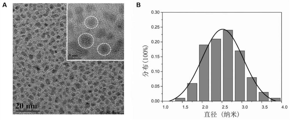 A kind of oxidation-resistant cerium-doped carbon quantum dots and its preparation method and application