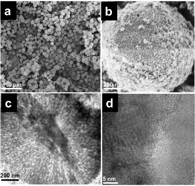 Mesoporous P25 titanium dioxide microspheres and preparation method thereof