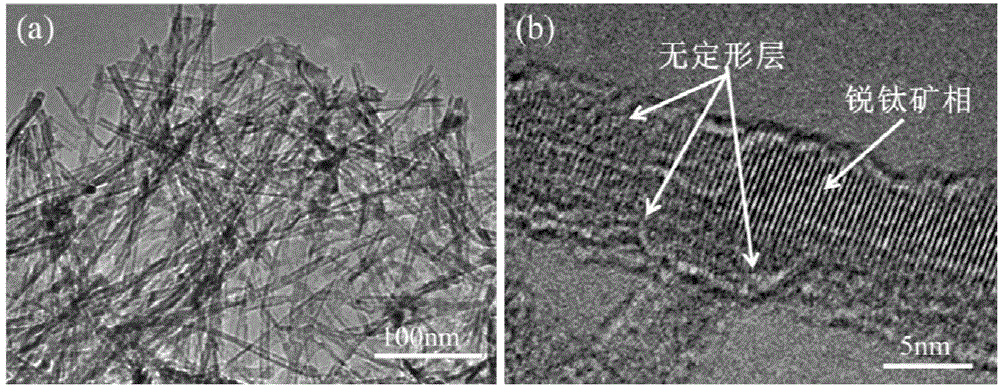 Preparation method and application of TiO2 nanotube coated with amorphous layer