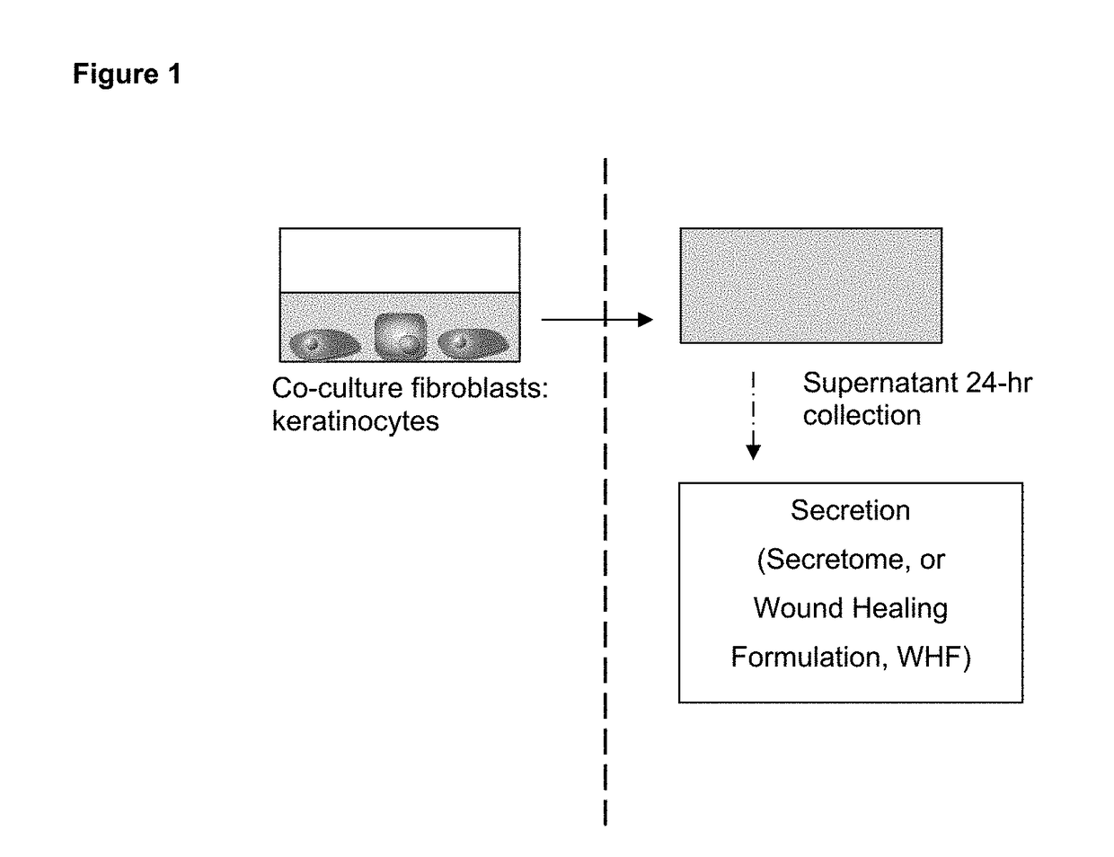 Wound healing formulation