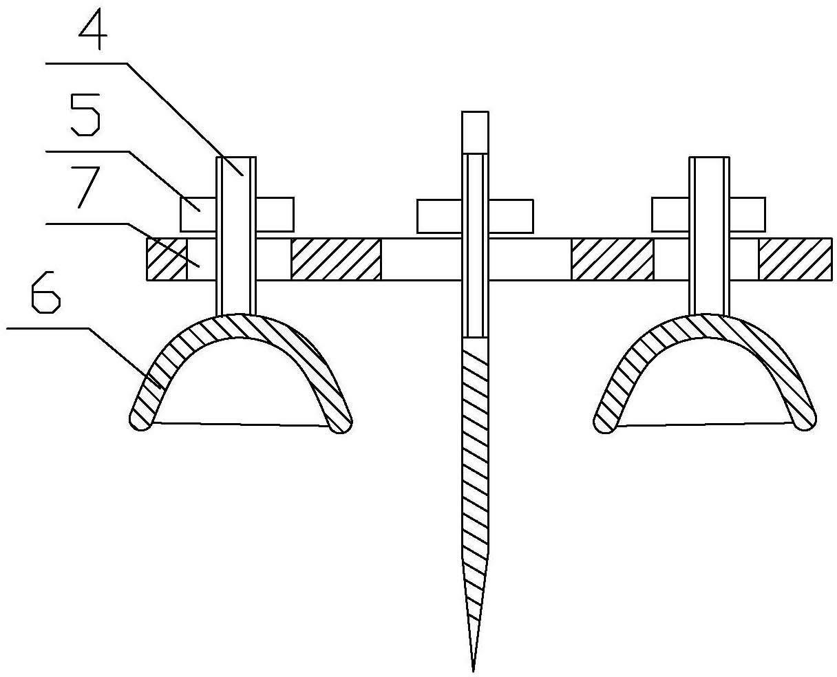 Fang removing device