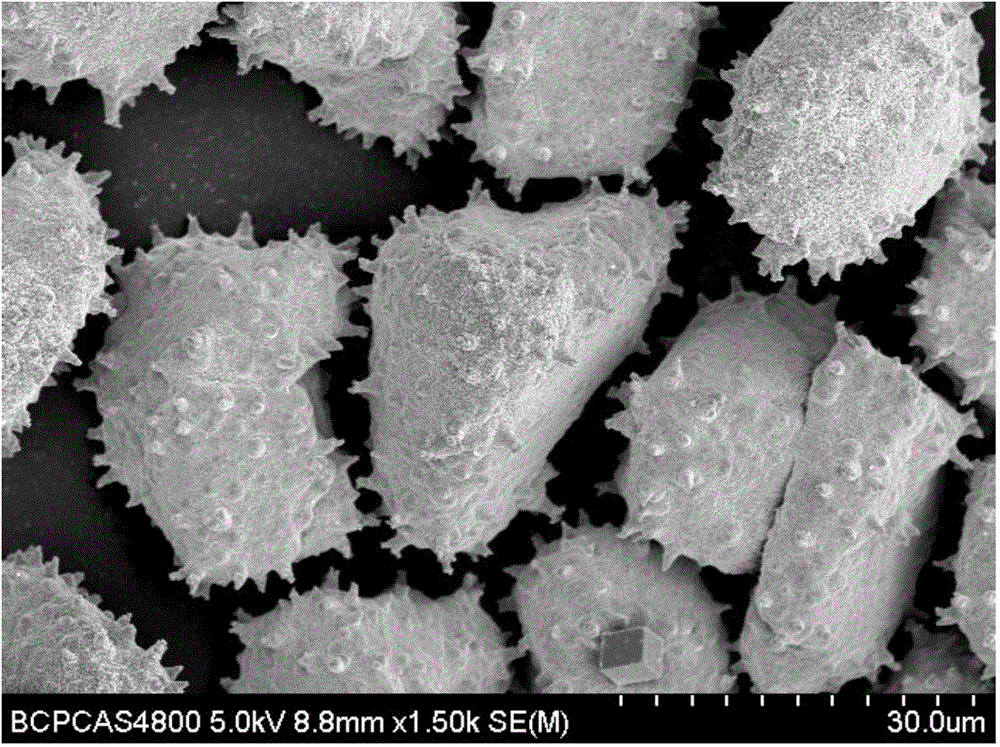 Electroplating liquid for preparing nickel plating thorn abrasive grains and electroplating method