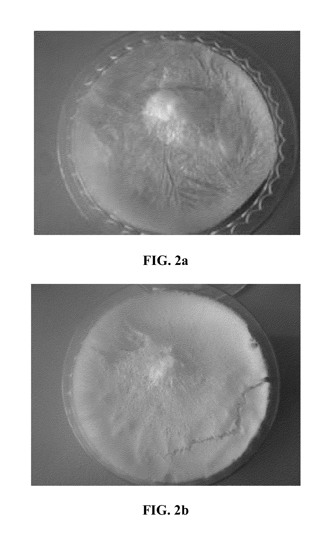Functional chitosan scaffold with surface charge tunability as filtering medium