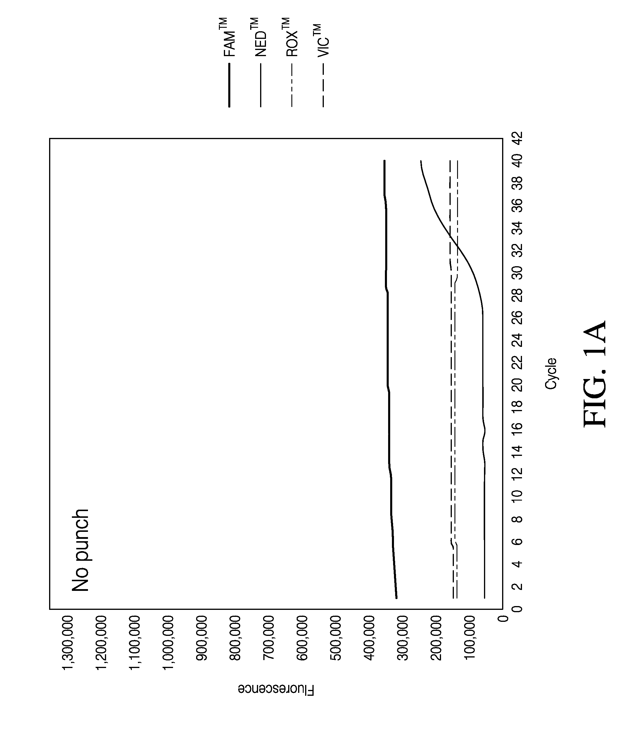 Direct quantitative PCR absent minor groove binders