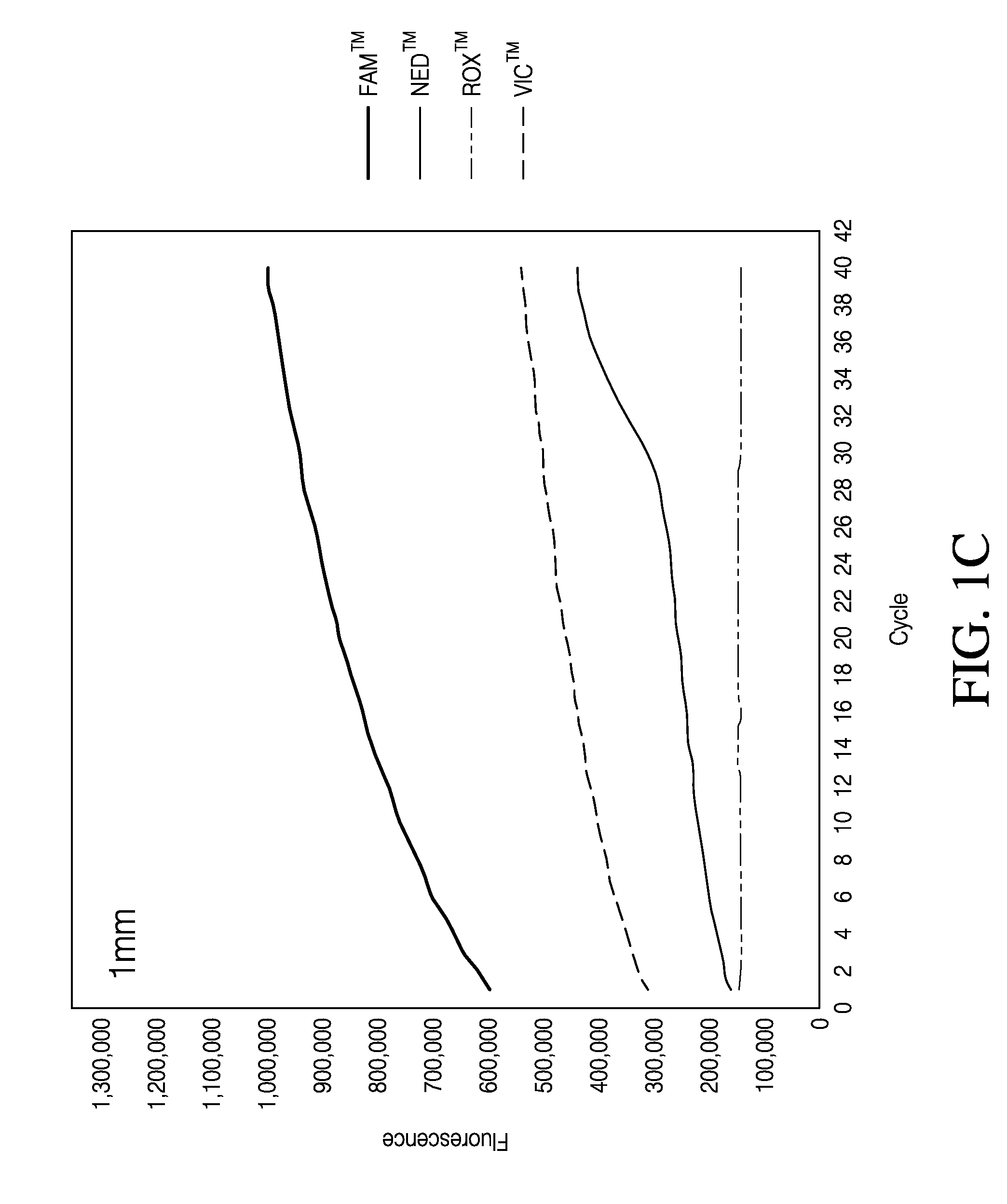 Direct quantitative PCR absent minor groove binders