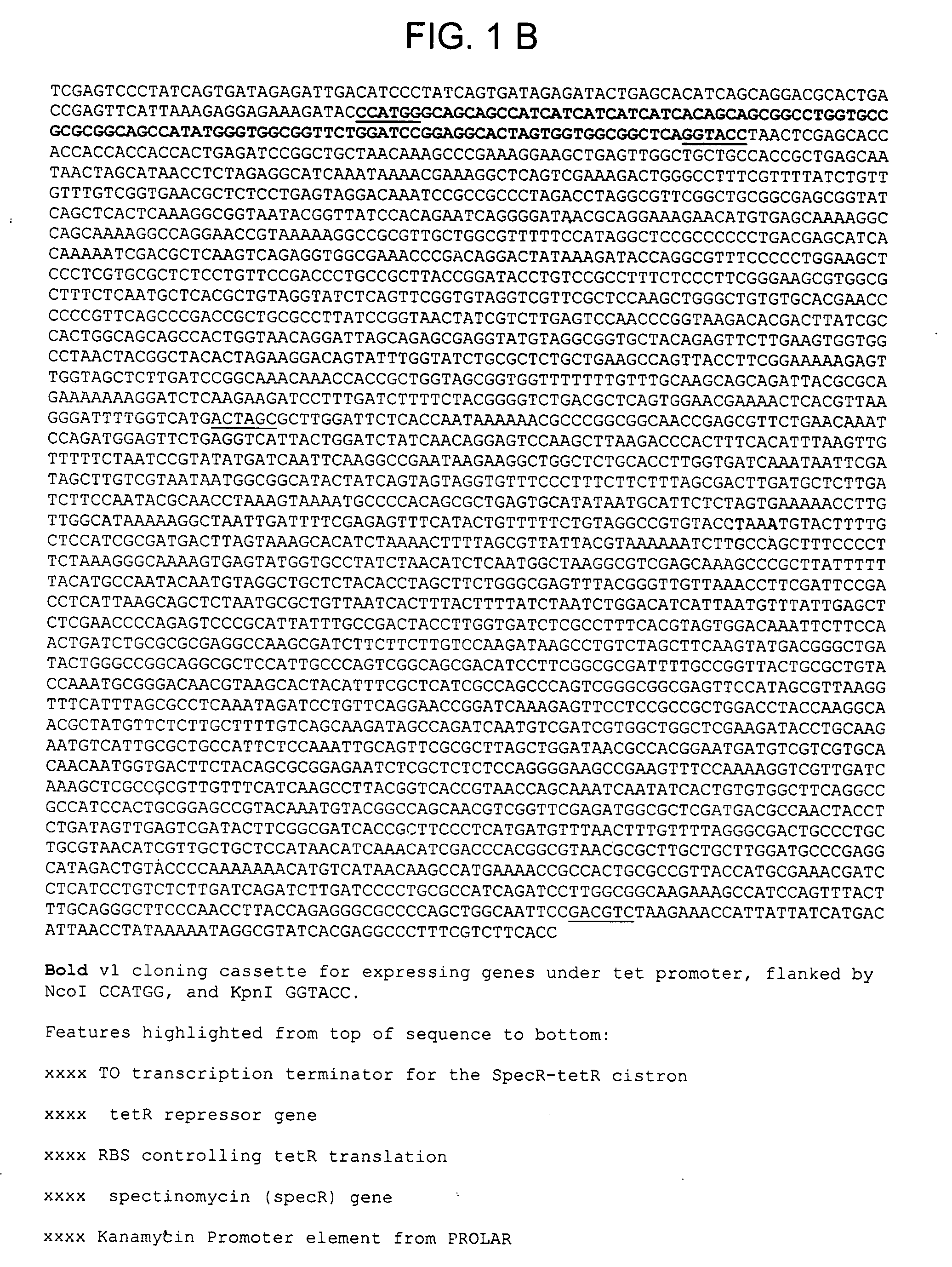 Self-assembling split-fluorescent protein systems