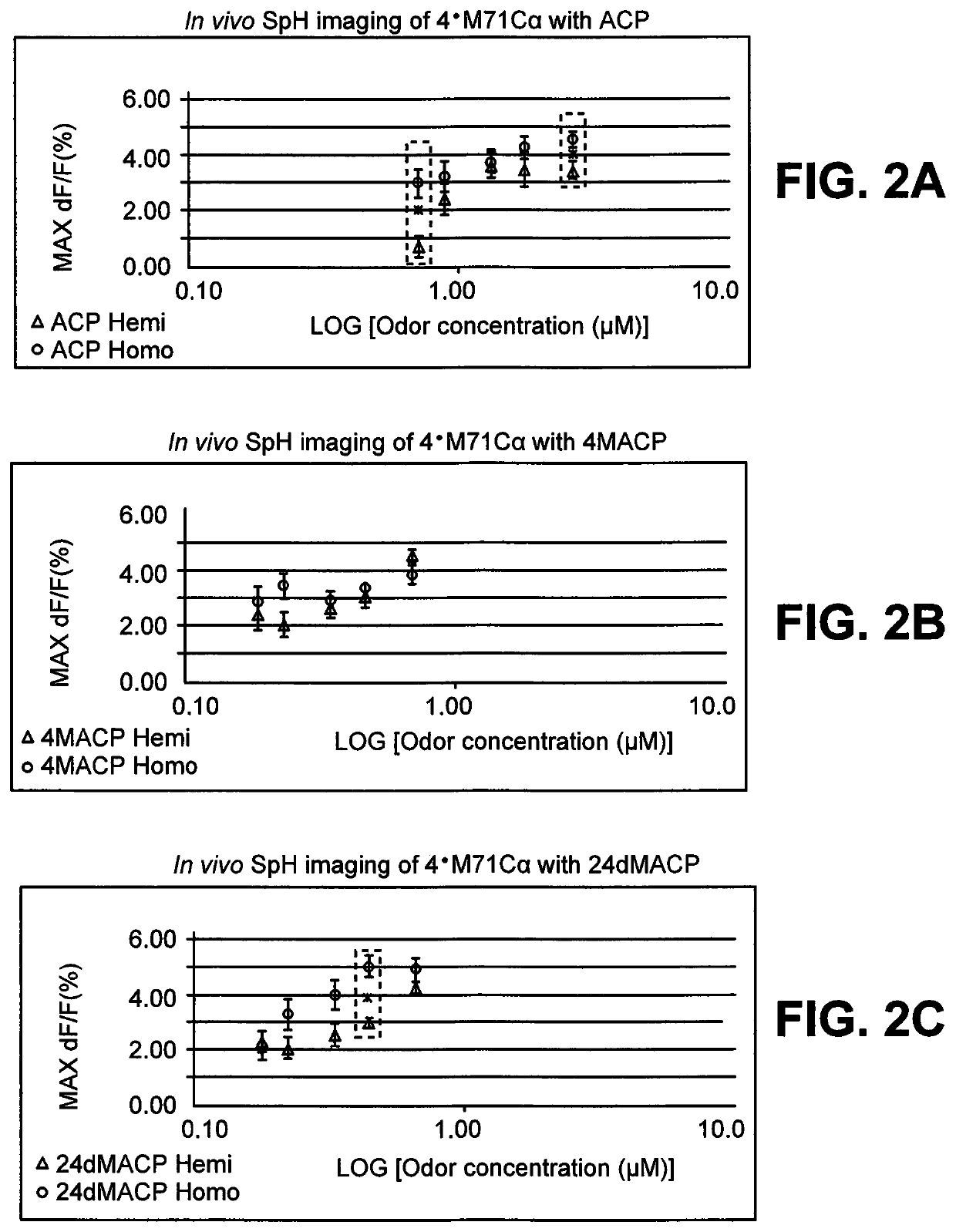 DNA sequence that increases odorant receptor representation in the olfactory system