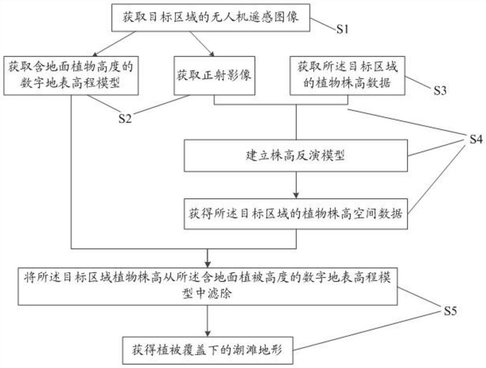 Tidal flat vegetation region terrain inversion method and system