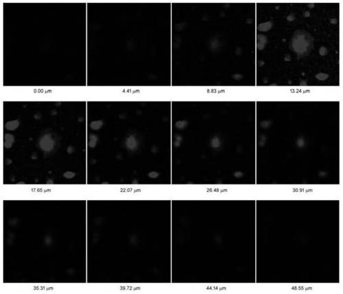 Preparation method of iridium complex and application in biphoton mitochondrial dyes