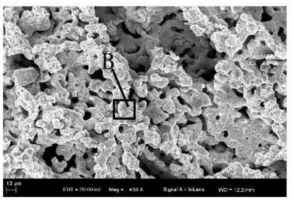 Micro-nano graded porous copper and preparation method thereof
