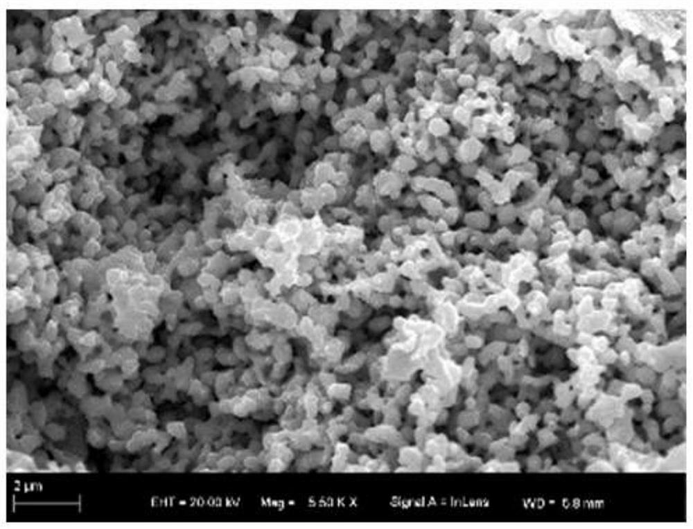 Micro-nano graded porous copper and preparation method thereof