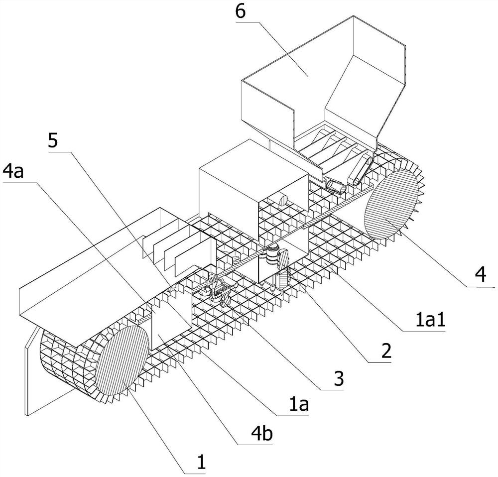 Intelligent male and female sorting system for sericulture