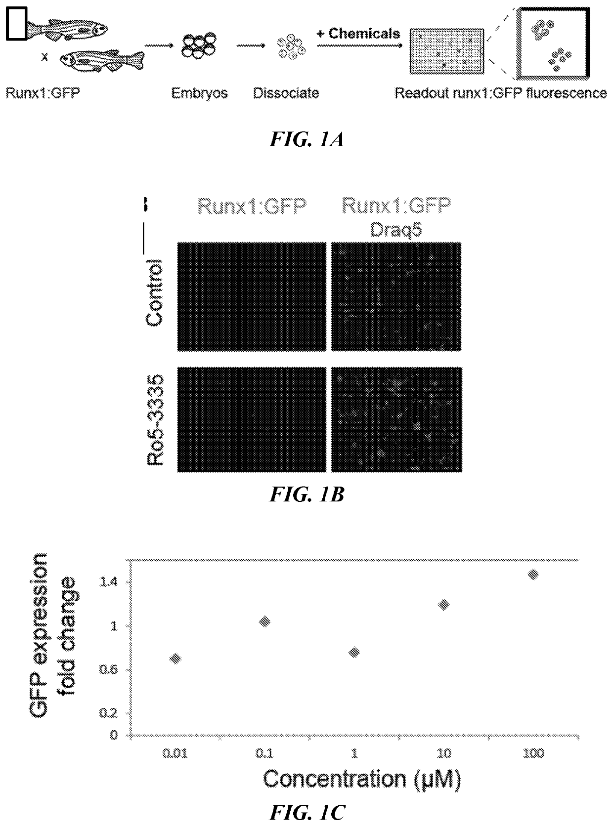 Methods for inducing hematopoietic stem cell specificity