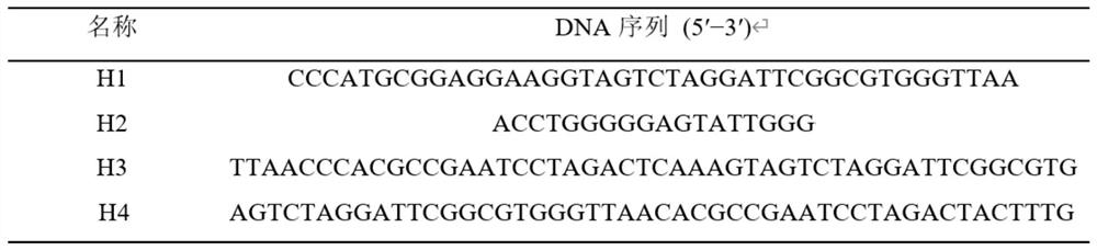 Rapid and ultra-sensitive ATP detection method and application thereof