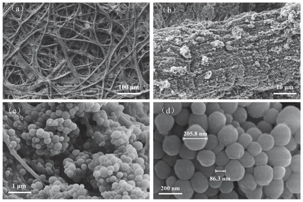 A kind of superhydrophobic oil-water separation paper with high separation flux and antibacterial and mildew resistance and preparation method thereof